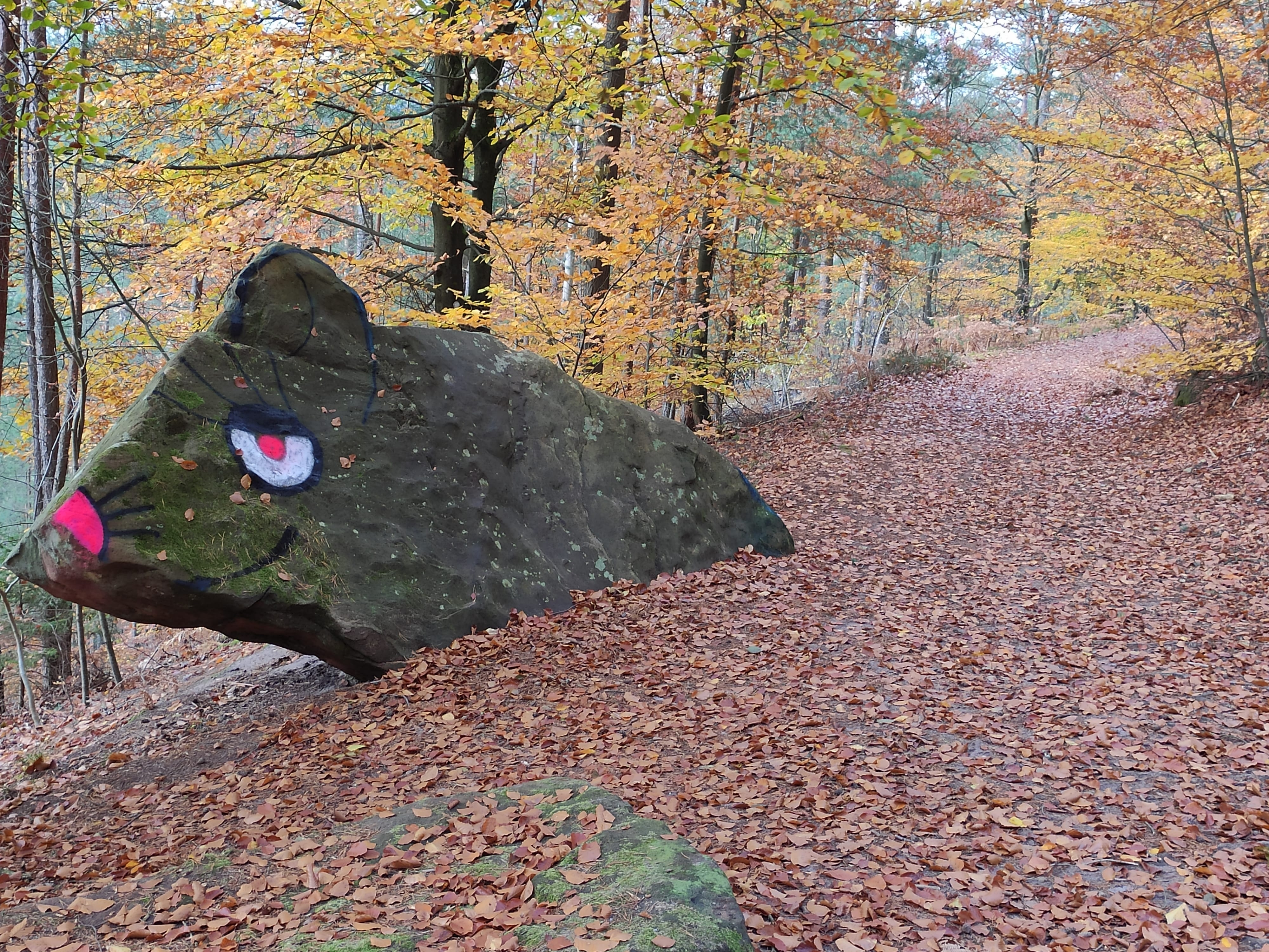 Bild Steinmaus Christenberg