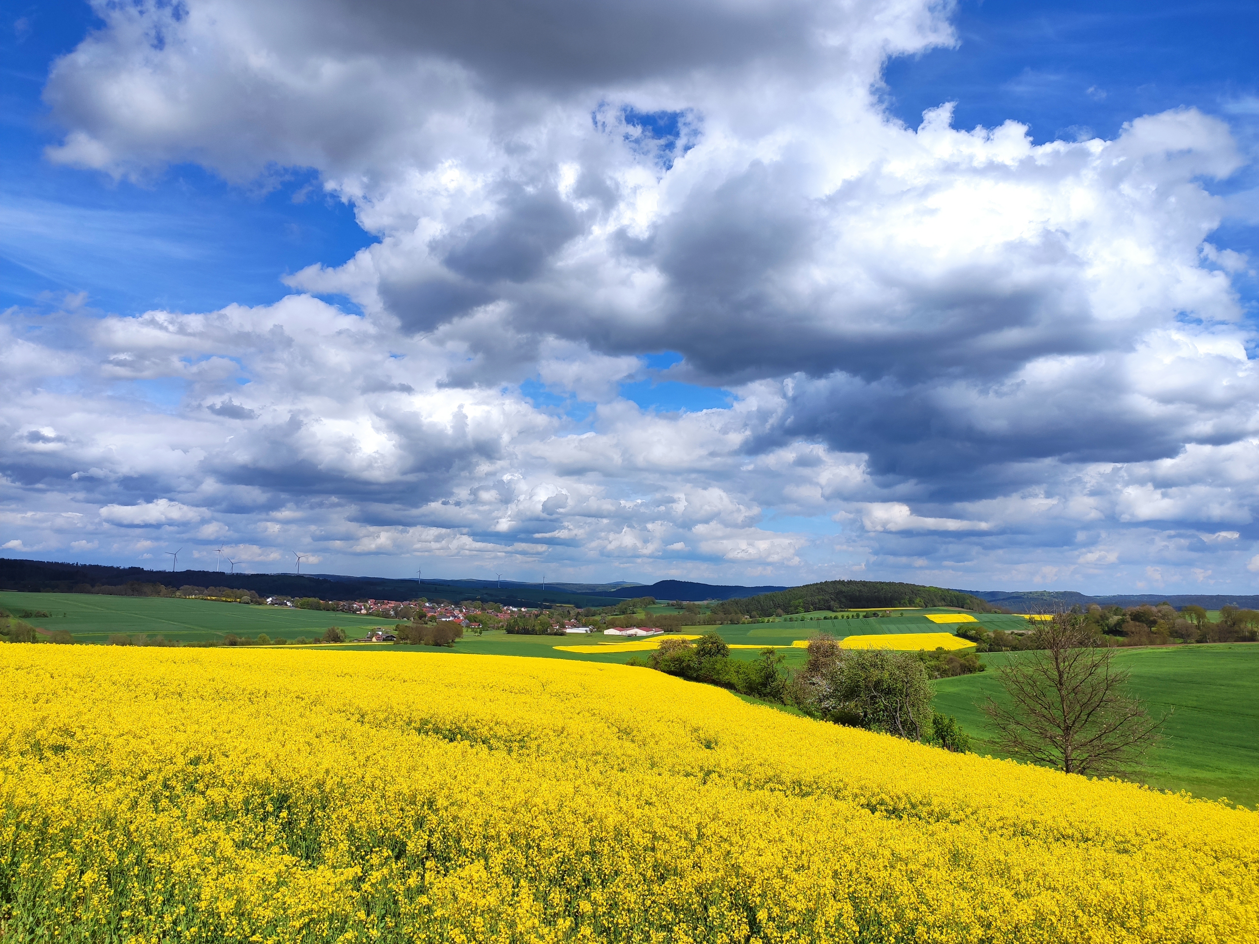 Blick auf Wollmar mit Wolken und Rapsfeld