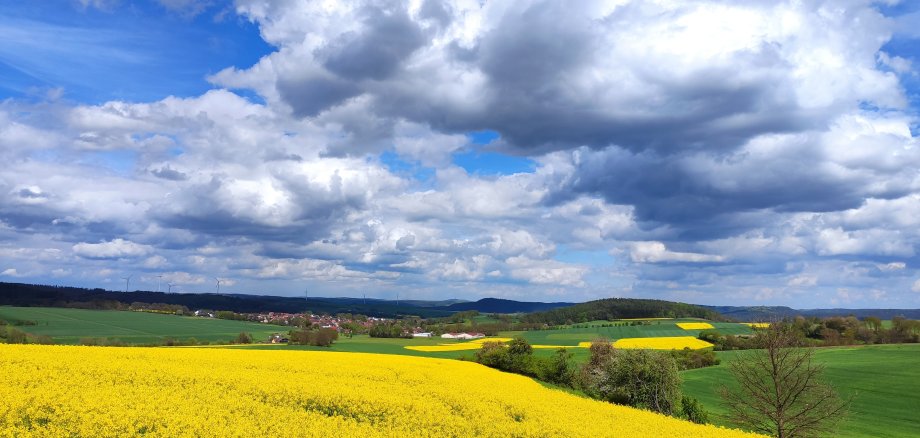 Blick auf Wollmar mit Wolken und Rapsfeld