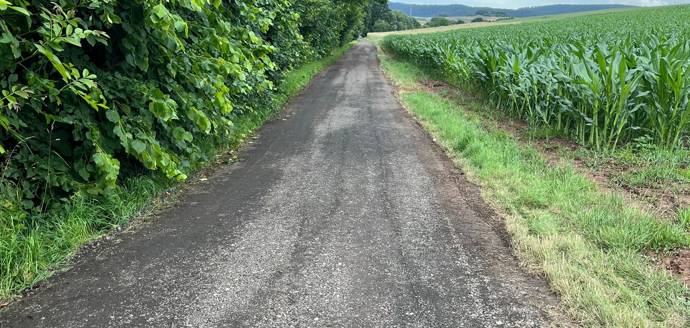Blick auf den neu profilierten Weg