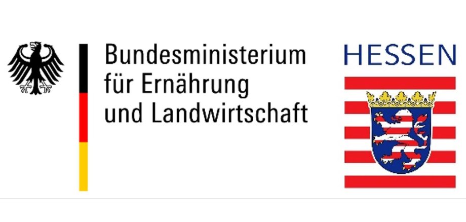 Logo Regionalbudget