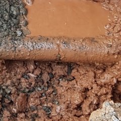 Wasserrohrbruch Hauptleitung Mittelsimtshausen