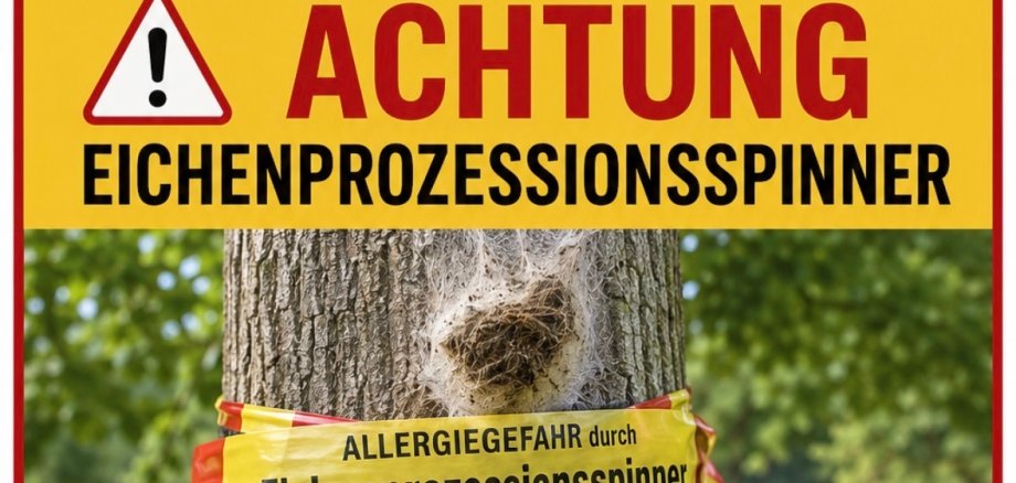 Infobild Eichenprozessionsspinner Infobild Eichenprozessionsspinner mit Gefahrenbeschreibung